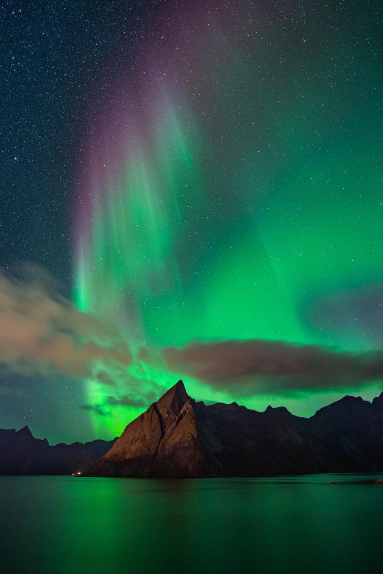 Lofoten Green Studio Ramberg Dış mekan fotoğraf