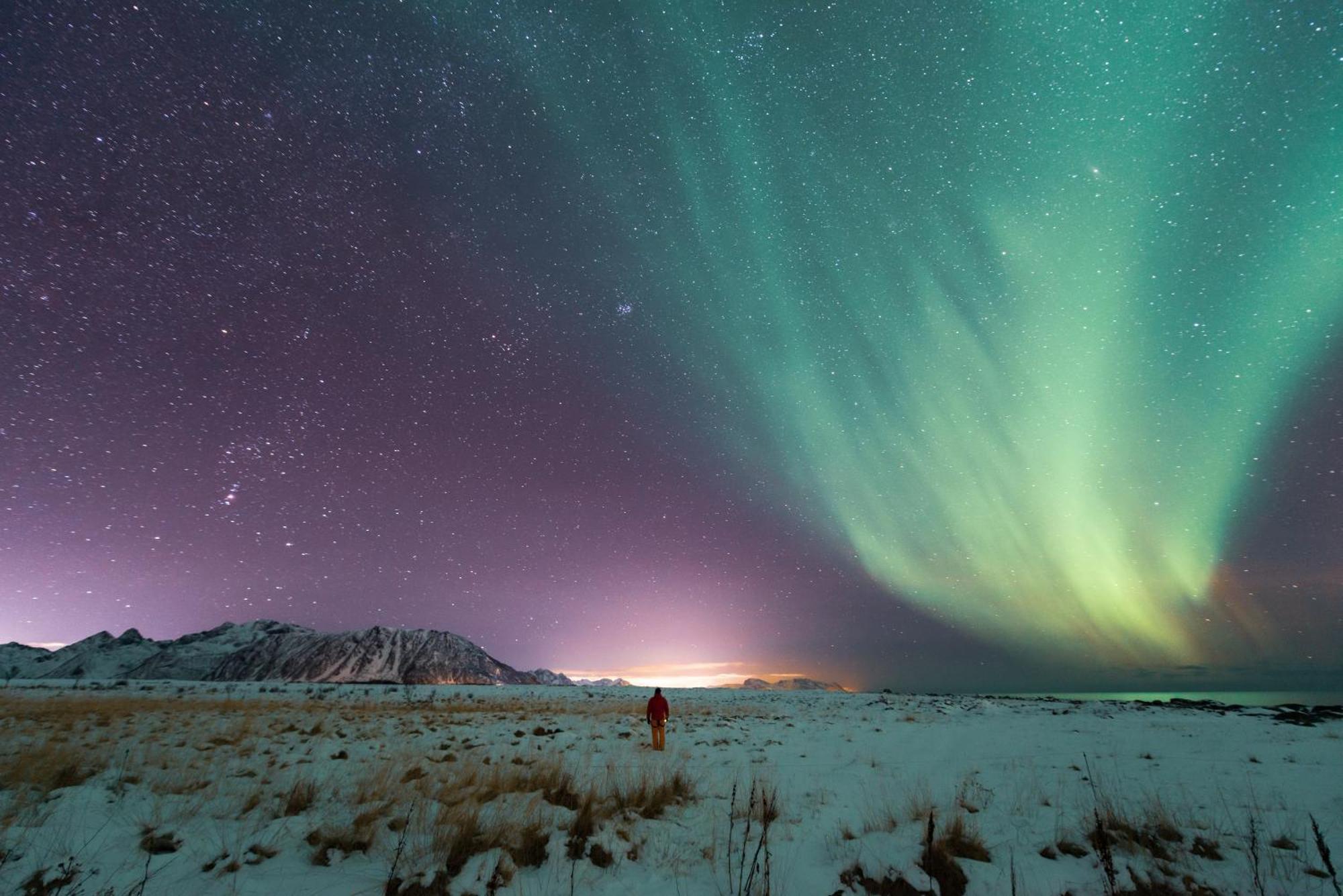 Lofoten Green Studio Ramberg Dış mekan fotoğraf