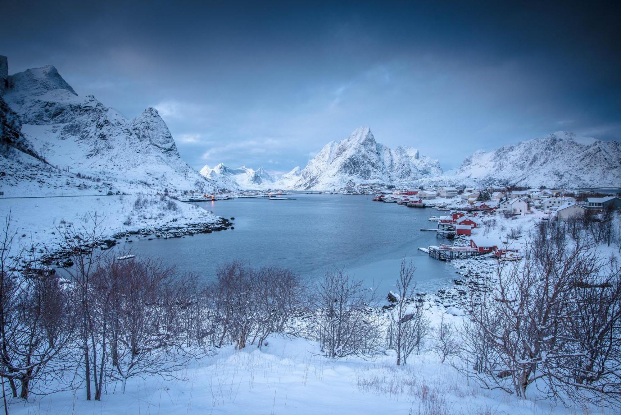 Lofoten Green Studio Ramberg Dış mekan fotoğraf